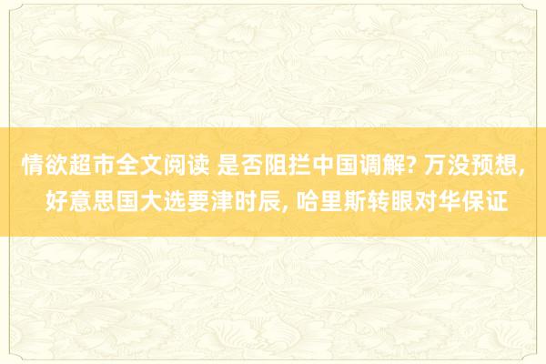 情欲超市全文阅读 是否阻拦中国调解? 万没预想， 好意思国大选要津时辰， 哈里斯转眼对华保证