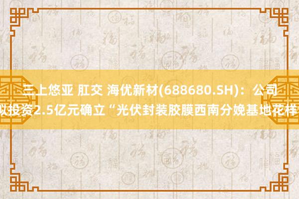 三上悠亚 肛交 海优新材(688680.SH)：公司拟投资2.5亿元确立“光伏封装胶膜西南分娩基地花样”