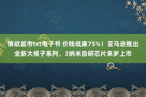 情欲超市txt电子书 价钱低廉75%！亚马逊推出全新大模子系列，3纳米自研芯片来岁上市