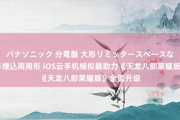 パナソニック 分電盤 大形リミッタースペースなし 露出・半埋込両用形 iOS云手机模拟器助力《天龙八部荣耀版》全面升级
