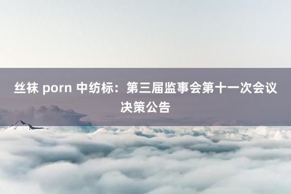 丝袜 porn 中纺标：第三届监事会第十一次会议决策公告