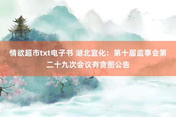 情欲超市txt电子书 湖北宜化：第十届监事会第二十九次会议有贪图公告