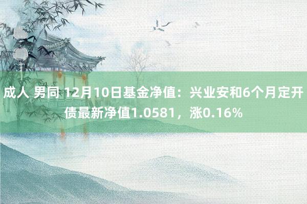 成人 男同 12月10日基金净值：兴业安和6个月定开债最新净值1.0581，涨0.16%