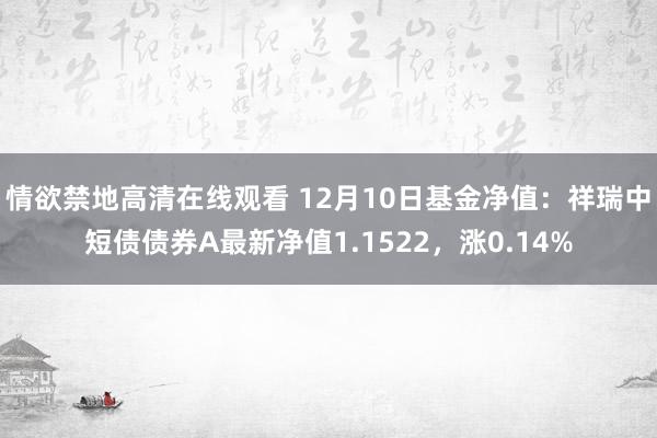 情欲禁地高清在线观看 12月10日基金净值：祥瑞中短债债券A最新净值1.1522，涨0.14%