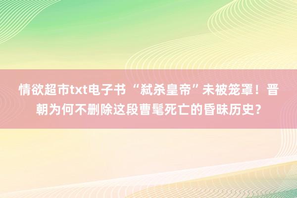 情欲超市txt电子书 “弑杀皇帝”未被笼罩！晋朝为何不删除这段曹髦死亡的昏昧历史？