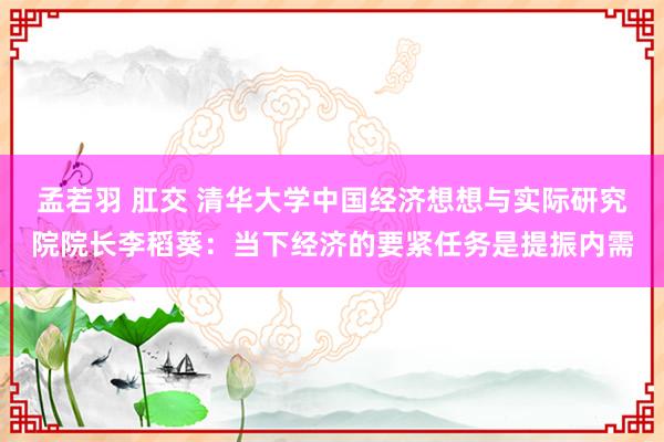 孟若羽 肛交 清华大学中国经济想想与实际研究院院长李稻葵：当下经济的要紧任务是提振内需