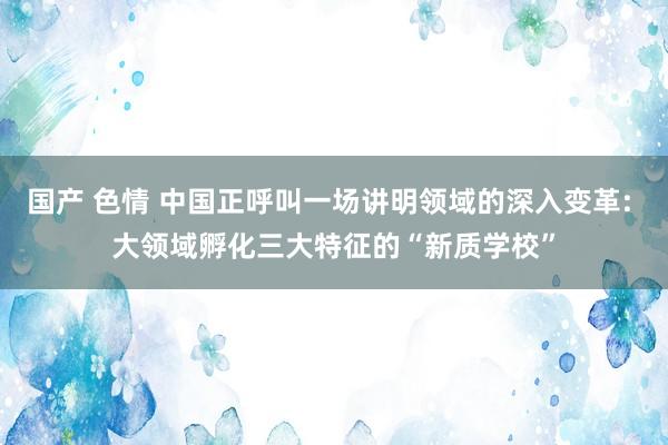 国产 色情 中国正呼叫一场讲明领域的深入变革: 大领域孵化三大特征的“新质学校”