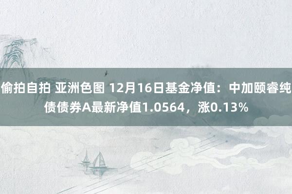 偷拍自拍 亚洲色图 12月16日基金净值：中加颐睿纯债债券A最新净值1.0564，涨0.13%