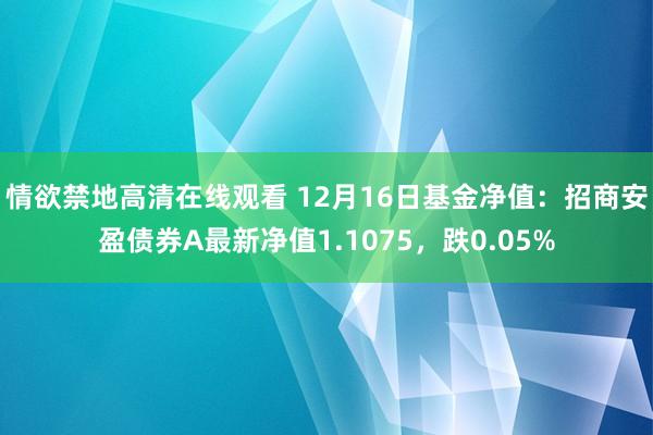 情欲禁地高清在线观看 12月16日基金净值：招商安盈债券A最新净值1.1075，跌0.05%