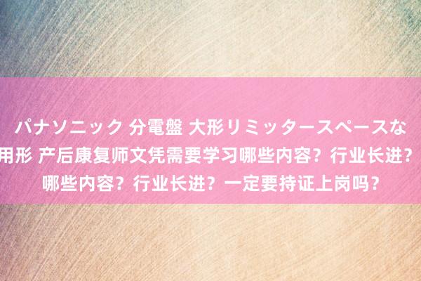 パナソニック 分電盤 大形リミッタースペースなし 露出・半埋込両用形 产后康复师文凭需要学习哪些内容？行业长进？一定要持证上岗吗？