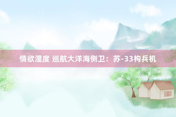 情欲湿度 巡航大洋海侧卫：苏-33构兵机