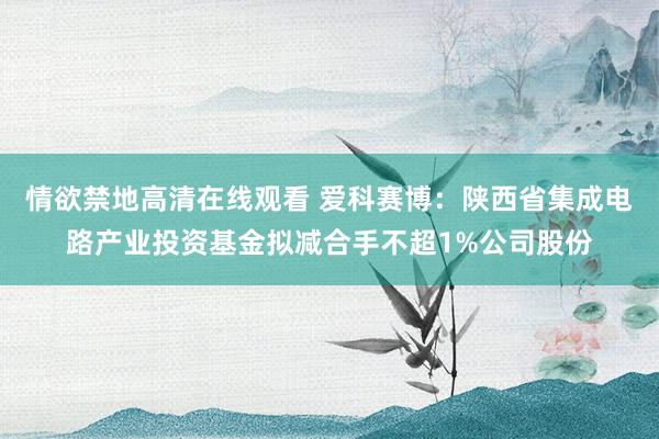 情欲禁地高清在线观看 爱科赛博：陕西省集成电路产业投资基金拟减合手不超1%公司股份