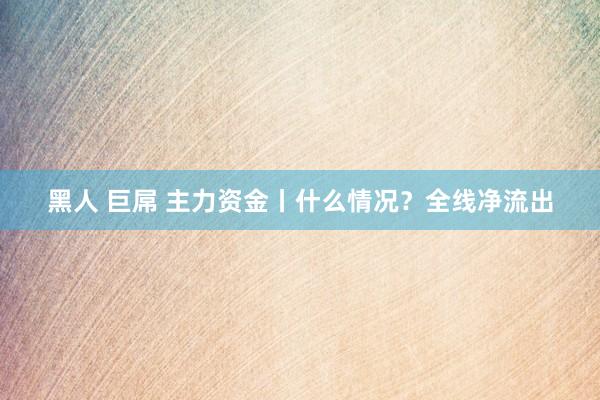 黑人 巨屌 主力资金丨什么情况？全线净流出