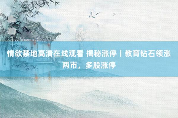 情欲禁地高清在线观看 揭秘涨停丨教育钻石领涨两市，多股涨停