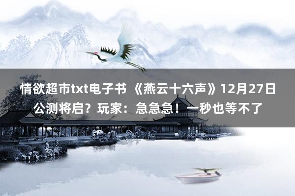 情欲超市txt电子书 《燕云十六声》12月27日公测将启？玩家：急急急！一秒也等不了