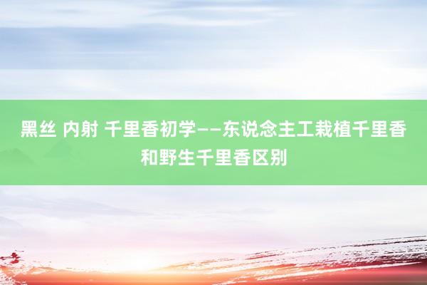 黑丝 内射 千里香初学——东说念主工栽植千里香和野生千里香区别
