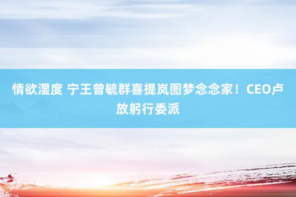 情欲湿度 宁王曾毓群喜提岚图梦念念家！CEO卢放躬行委派
