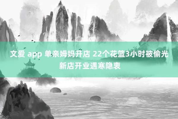 文爱 app 单亲姆妈开店 22个花篮3小时被偷光 新店开业遇寒隐衷