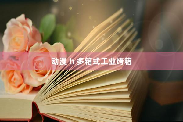 动漫 h 多箱式工业烤箱
