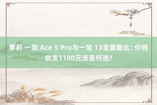 萝莉 一加 Ace 5 Pro与一加 13全面临比: 价钱收支1100元该若何选?