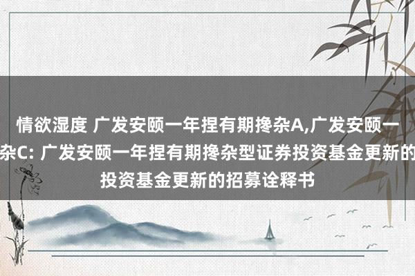 情欲湿度 广发安颐一年捏有期搀杂A,广发安颐一年捏有期搀杂C: 广发安颐一年捏有期搀杂型证券投资基金更新的招募诠释书
