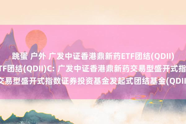 跳蛋 户外 广发中证香港鼎新药ETF团结(QDII)A,广发中证香港鼎新药ETF团结(QDII)C: 广发中证香港鼎新药交易型盛开式指数证券投资基金发起式团结基金(QDII)更新的招募说明书