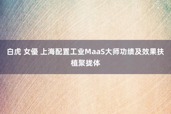 白虎 女優 上海配置工业MaaS大师功绩及效果扶植聚拢体