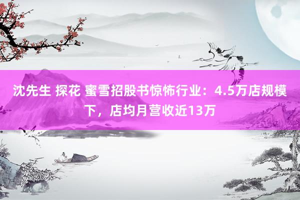 沈先生 探花 蜜雪招股书惊怖行业：4.5万店规模下，店均月营收近13万