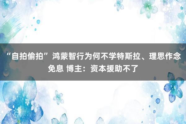 “自拍偷拍” 鸿蒙智行为何不学特斯拉、理思作念免息 博主：资本援助不了
