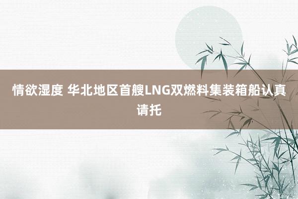 情欲湿度 华北地区首艘LNG双燃料集装箱船认真请托