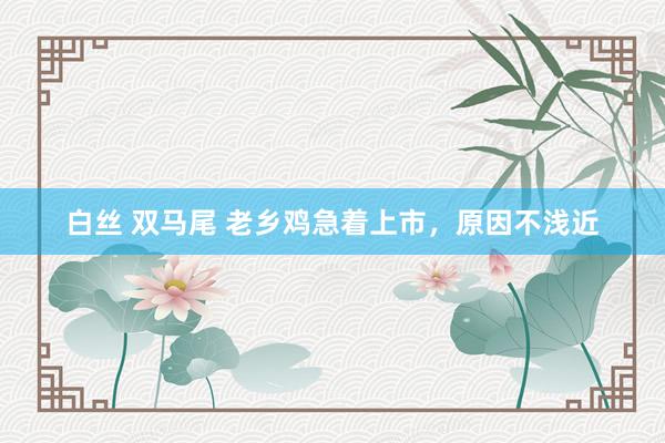 白丝 双马尾 老乡鸡急着上市，原因不浅近