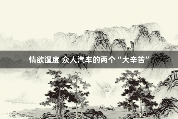 情欲湿度 众人汽车的两个“大辛苦”