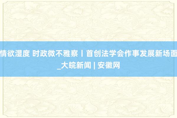 情欲湿度 时政微不雅察丨首创法学会作事发展新场面_大皖新闻 | 安徽网