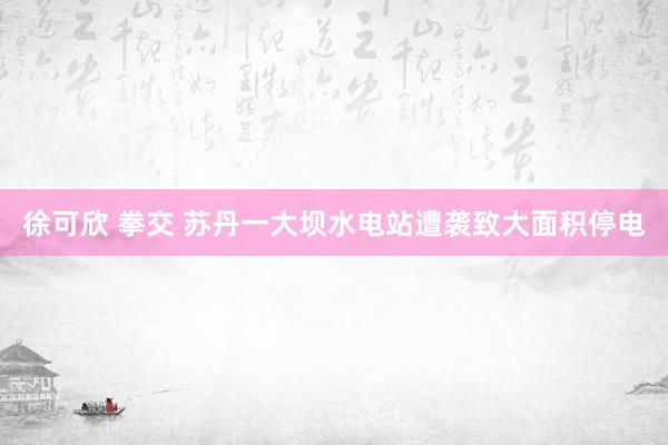 徐可欣 拳交 苏丹一大坝水电站遭袭致大面积停电