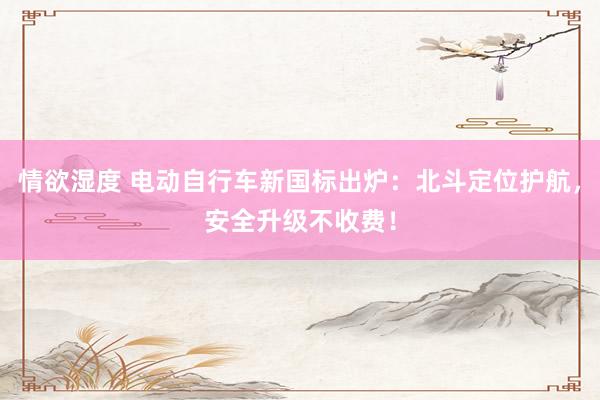 情欲湿度 电动自行车新国标出炉：北斗定位护航，安全升级不收费！