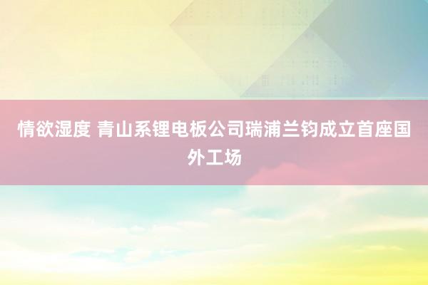 情欲湿度 青山系锂电板公司瑞浦兰钧成立首座国外工场