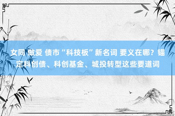 女同 做爱 债市“科技板”新名词 要义在哪？锚定科创债、科创基金、城投转型这些要道词
