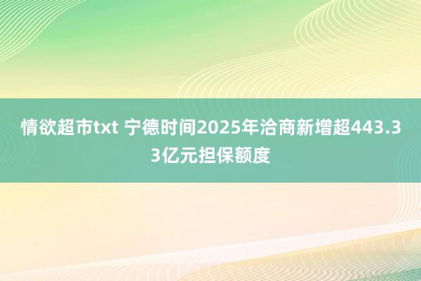 情欲超市txt 宁德时间2025年洽商新增超443.33亿元担保额度