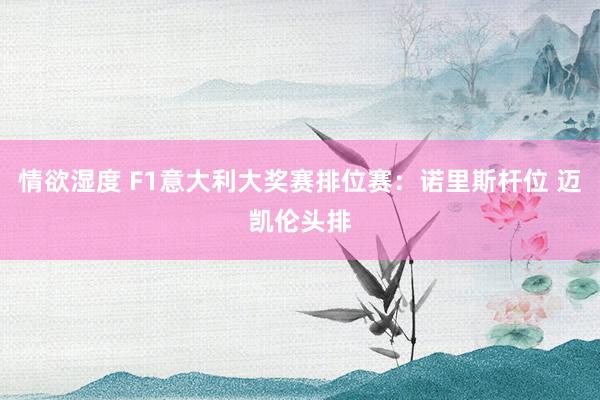 情欲湿度 F1意大利大奖赛排位赛：诺里斯杆位 迈凯伦头排