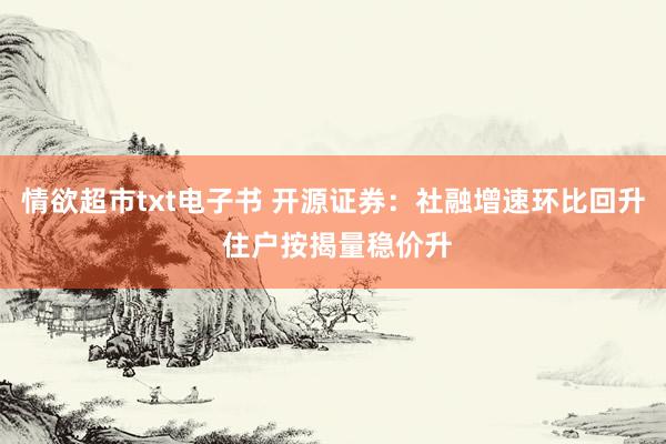 情欲超市txt电子书 开源证券：社融增速环比回升 住户按揭量稳价升