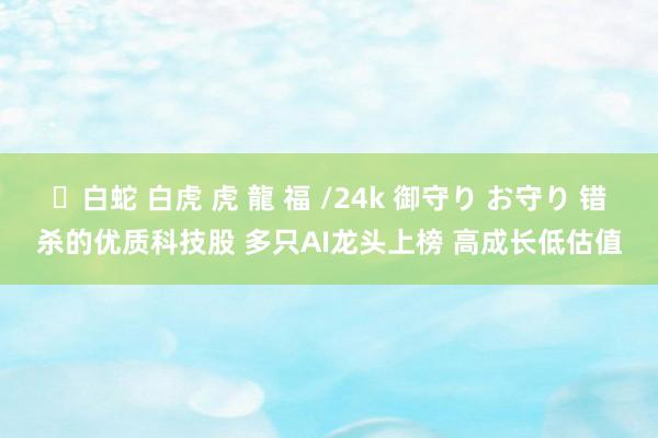 ✨白蛇 白虎 虎 龍 福 /24k 御守り お守り 错杀的优质科技股 多只AI龙头上榜 高成长低估值