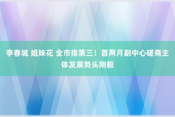 李春城 姐妹花 全市排第三！首两月副中心磋商主体发展势头刚毅