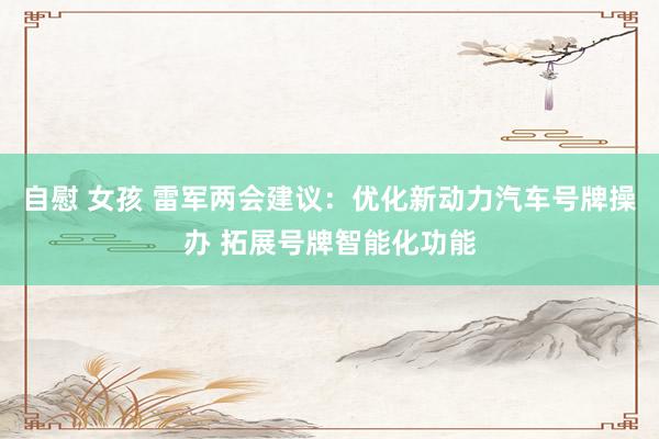 自慰 女孩 雷军两会建议：优化新动力汽车号牌操办 拓展号牌智能化功能