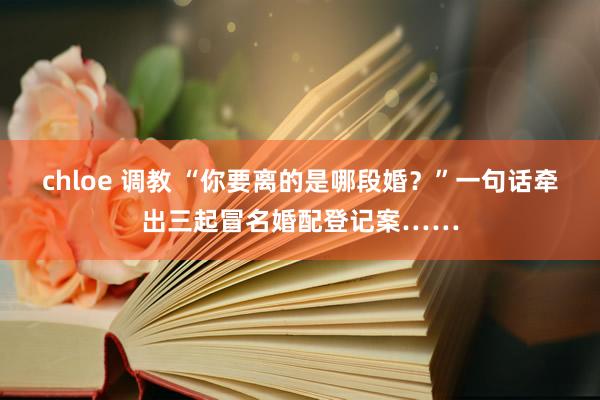 chloe 调教 “你要离的是哪段婚？”一句话牵出三起冒名婚配登记案……