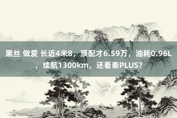 黑丝 做爱 长近4米8，顶配才6.59万，油耗0.96L，续航1300km，还看秦PLUS？