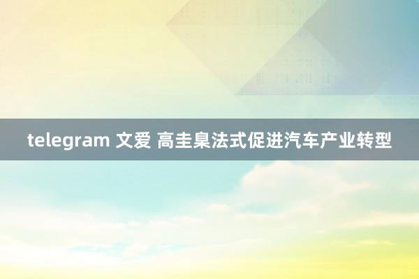 telegram 文爱 高圭臬法式促进汽车产业转型