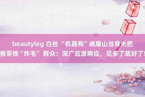 beautyleg 白丝 “机器狗”峨眉山当背夫把猴哥惊“炸毛” 群众：深广应激响应，见多了就好了!