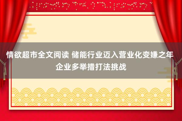 情欲超市全文阅读 储能行业迈入营业化变嫌之年 企业多举措打法挑战