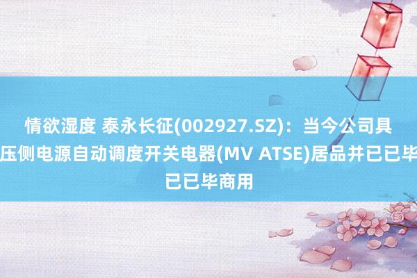 情欲湿度 泰永长征(002927.SZ)：当今公司具有中压侧电源自动调度开关电器(MV ATSE)居品并已已毕商用
