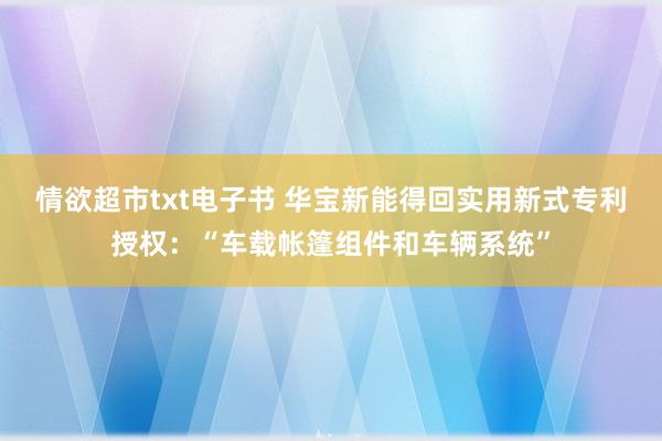 情欲超市txt电子书 华宝新能得回实用新式专利授权：“车载帐篷组件和车辆系统”